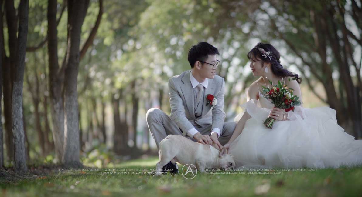 APLUS x WEDDING H ＆ P Oct.28 2018