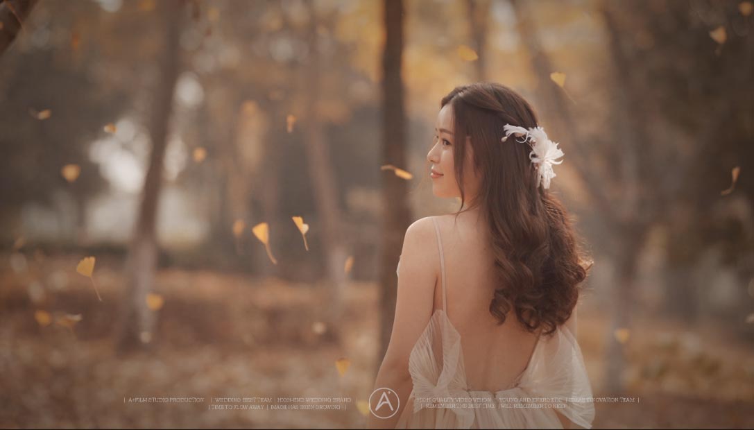 APLUS x WEDDING Y ＆ Q Dec.01