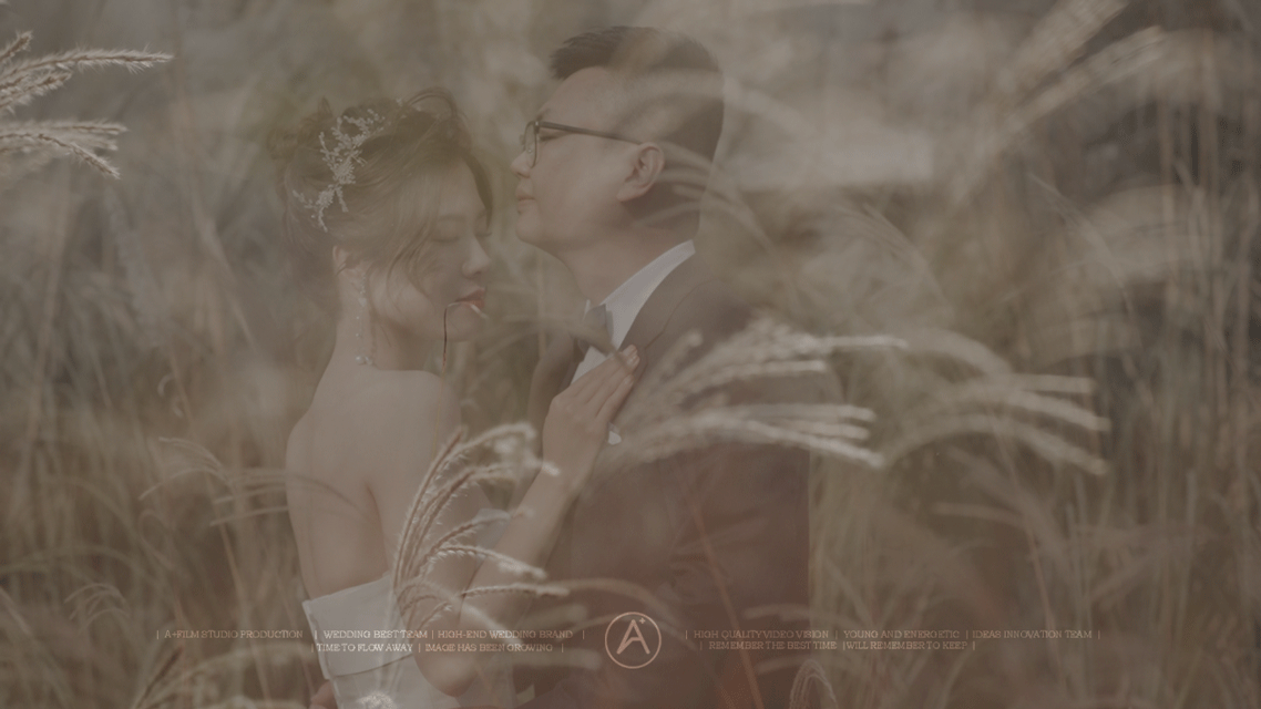 APLUS x WEDDING D ＆ S  Dec.15