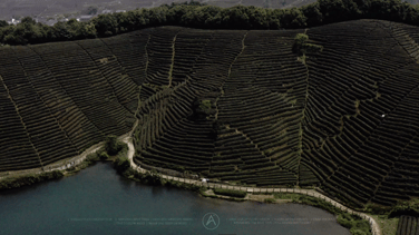 从青涩走到成熟 从校服走到婚纱 从一无所有走到